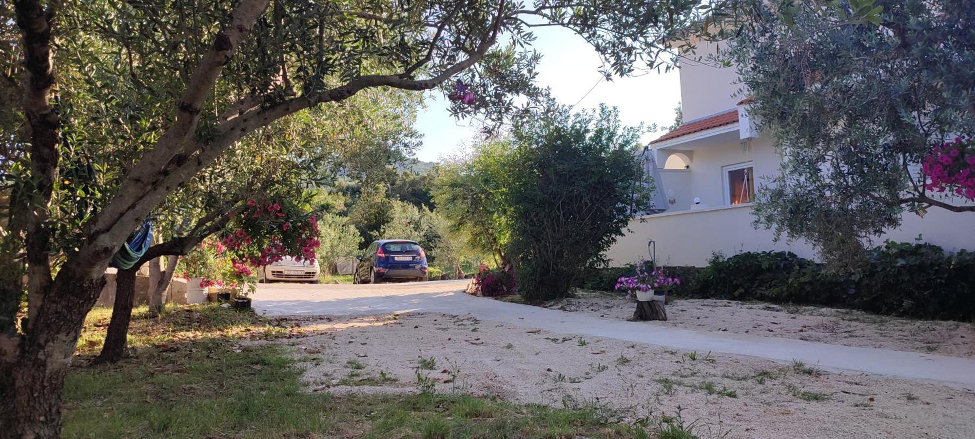 Apartments Villa Mihaela Banj Dış mekan fotoğraf