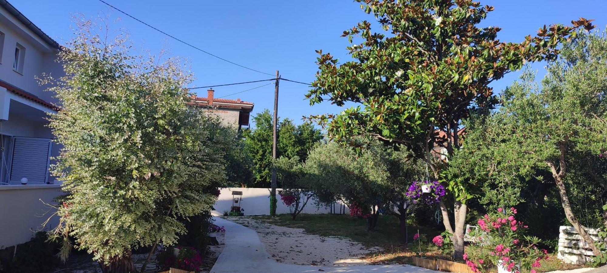 Apartments Villa Mihaela Banj Dış mekan fotoğraf