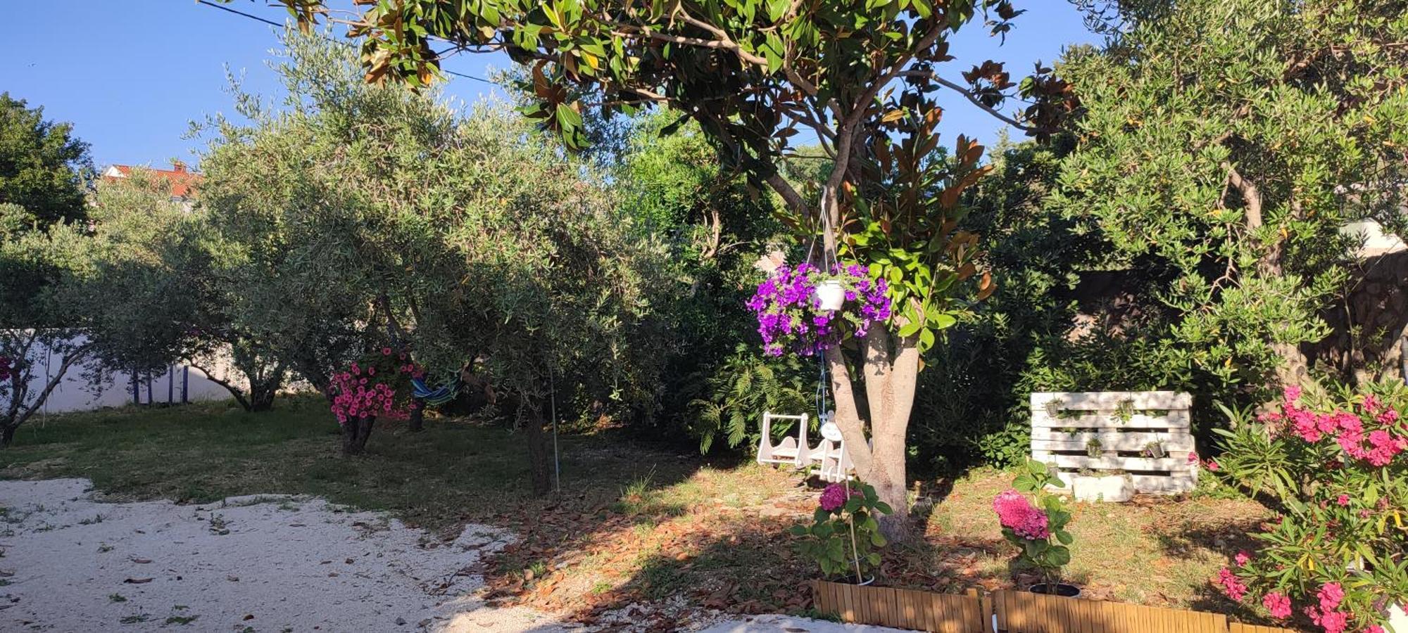 Apartments Villa Mihaela Banj Dış mekan fotoğraf