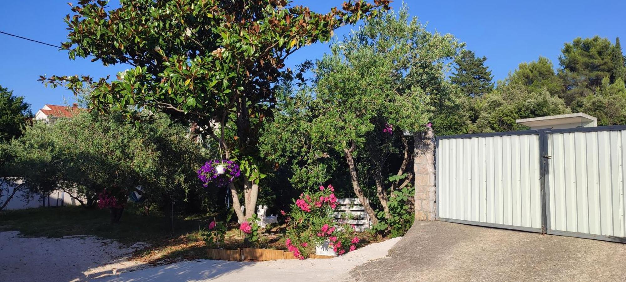 Apartments Villa Mihaela Banj Dış mekan fotoğraf