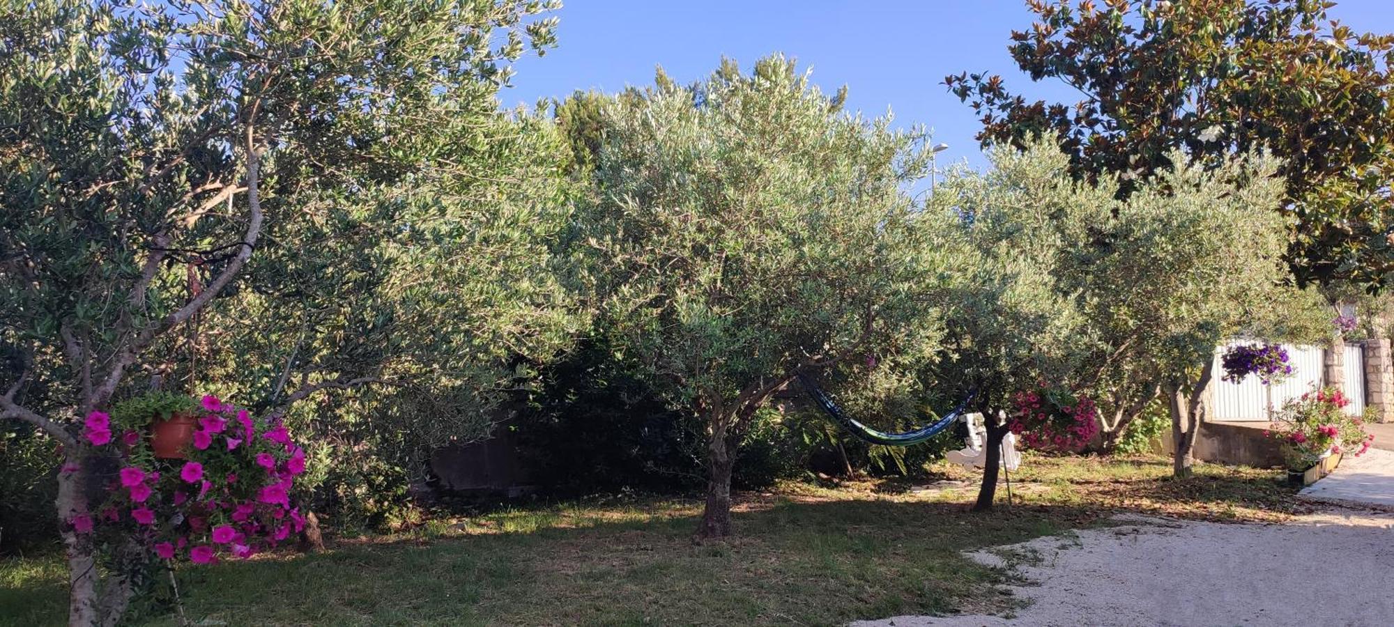Apartments Villa Mihaela Banj Dış mekan fotoğraf